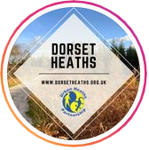 Dorset Heaths