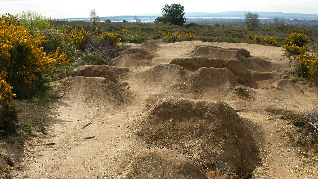 Illegal jump digging destroys heathland habitat