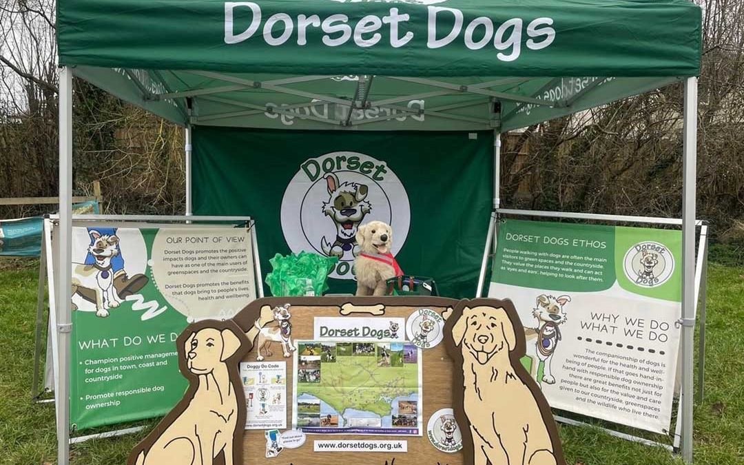 New kit helps Dorset Dogs team