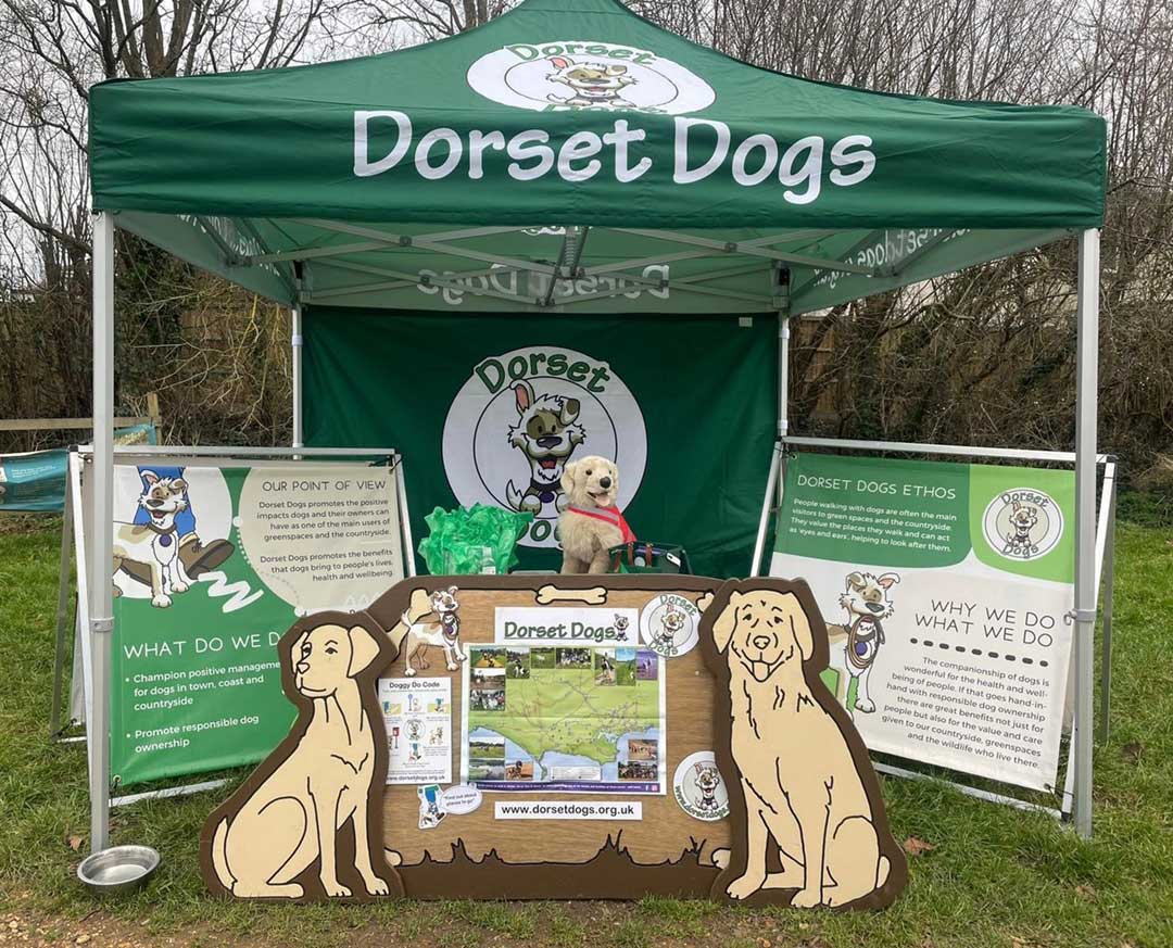 Dorset Dogs new gazebo news item