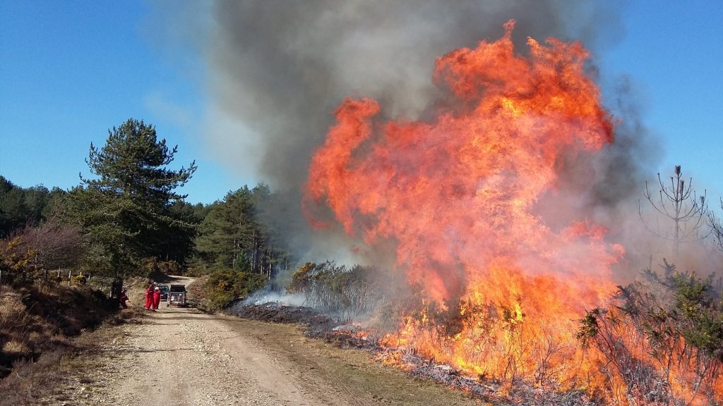 UHP Prescribed Winter Burning
