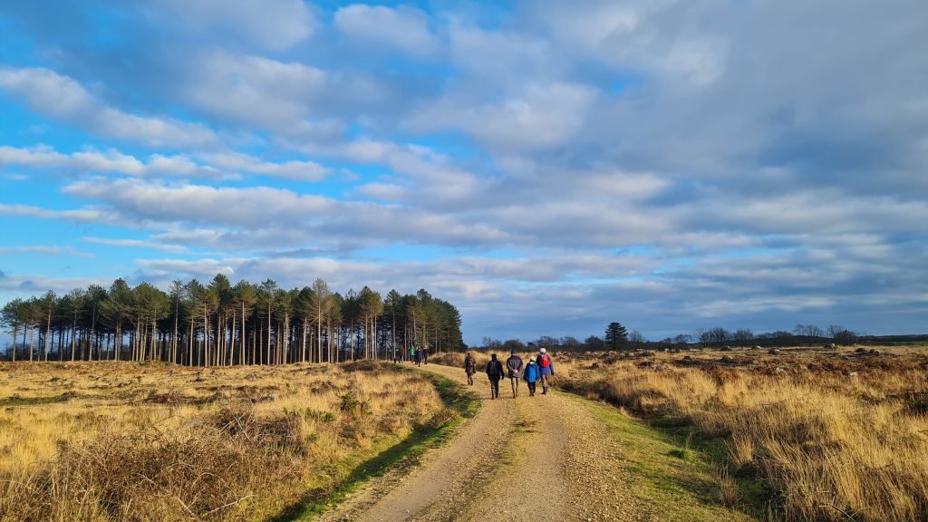 UHP Purbeck NNR news article Rempstone