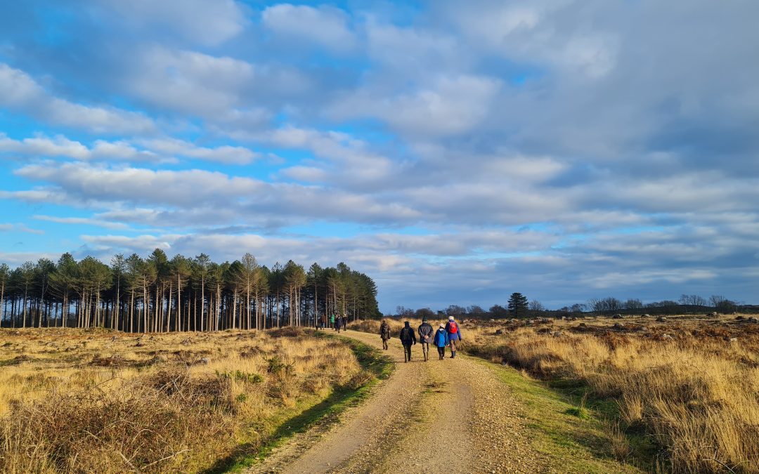 Partnership working across Purbeck Heaths NNR
