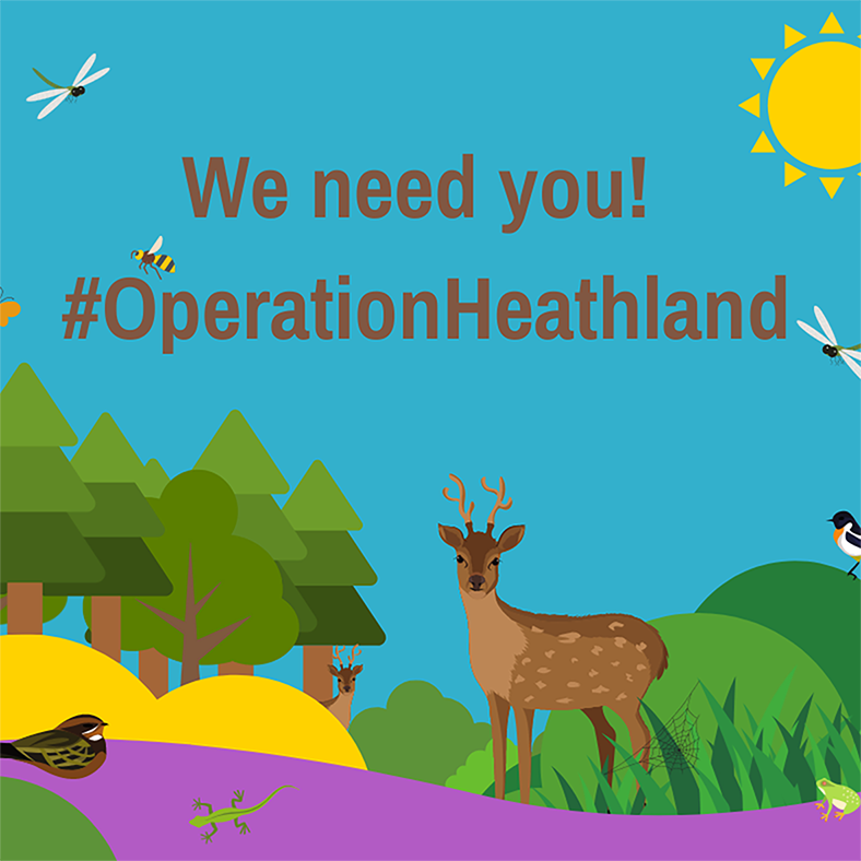 We need you #OperationHeathland