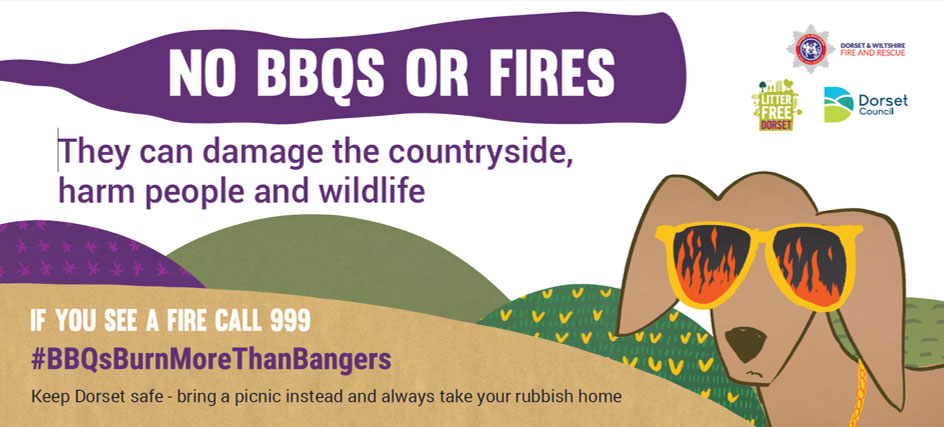 NO BBQS OR FIRES BANNER