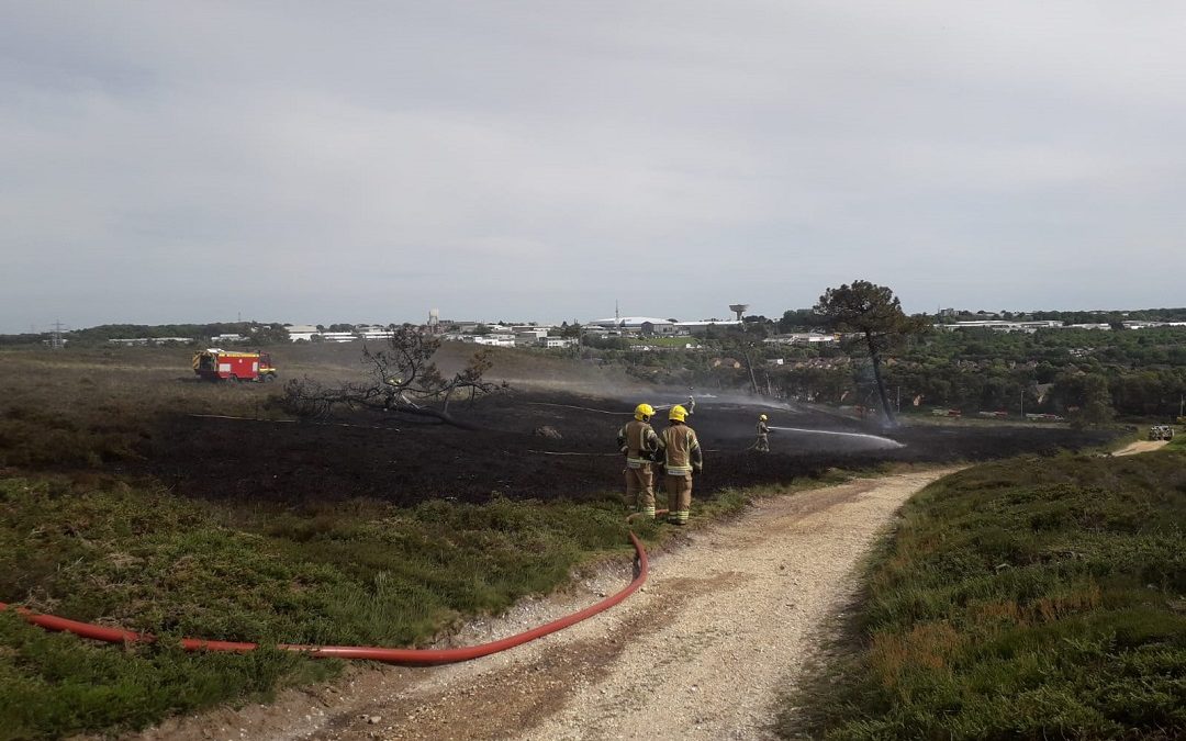 Canford Heath set alight again