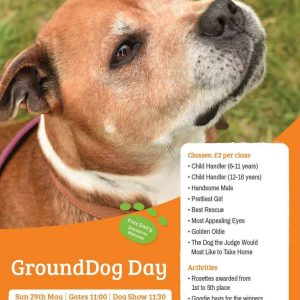 GroundDog Day poster