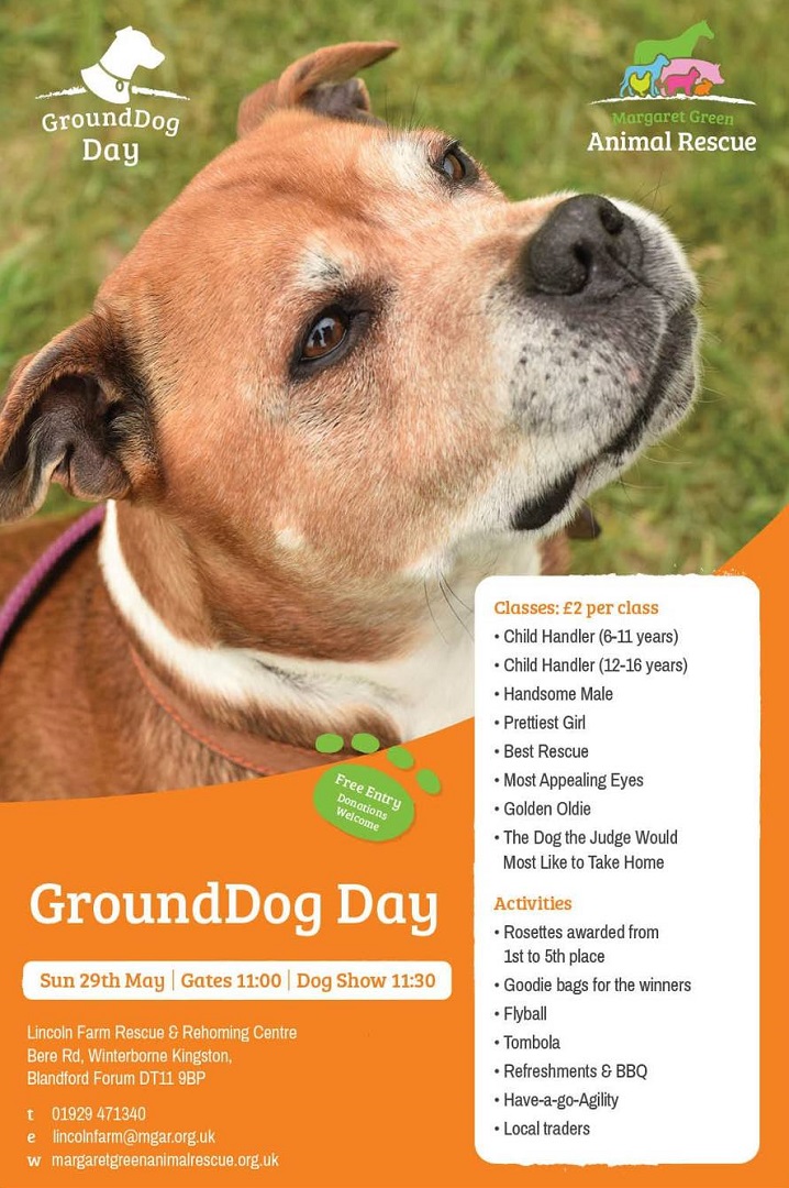 GroundDog Day poster