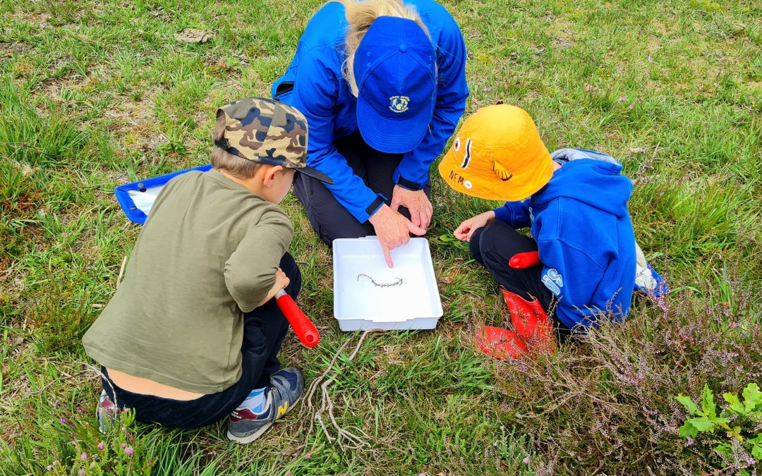 Heathland fun for First School