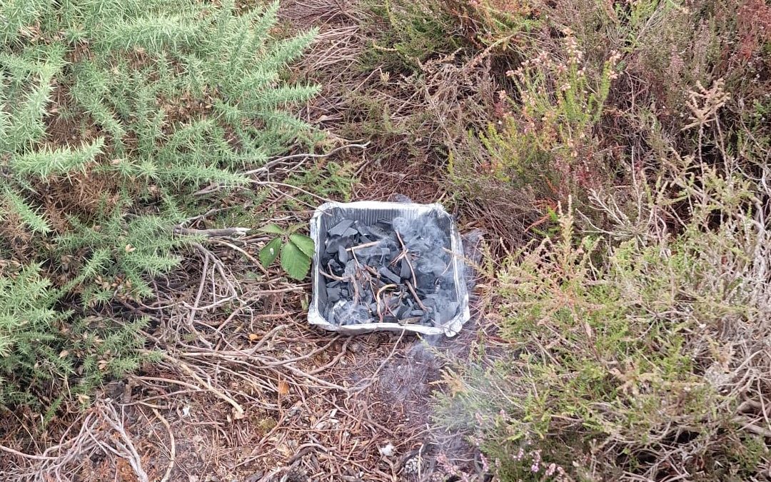 “Incredibly stupid”