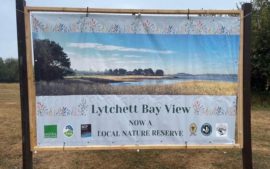 Lychett Bay celebrates becoming a nature reserve