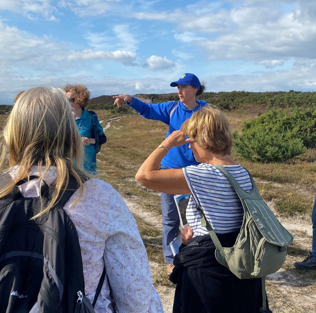 Peaty Pockets walk Godlingston Sept 2022