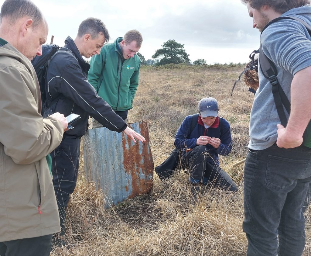 Reptile survey training