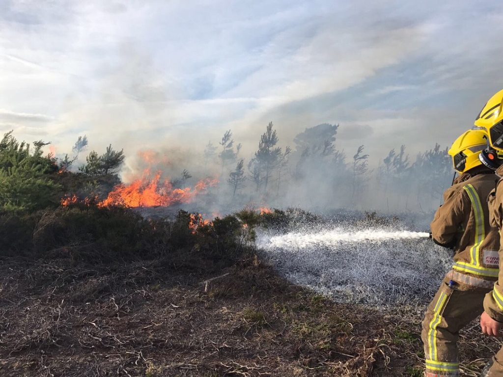 Firefighters tackling heath blaze. Credit Dorset and Wiltshire Fire and Rescue Service