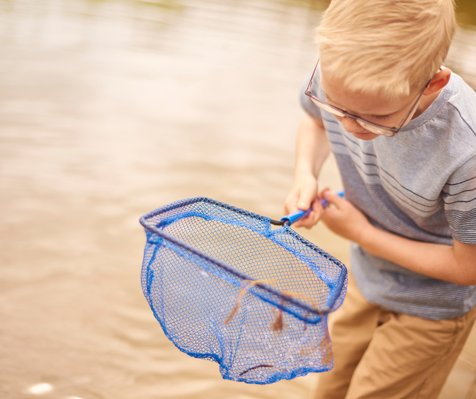 Child pond dipping