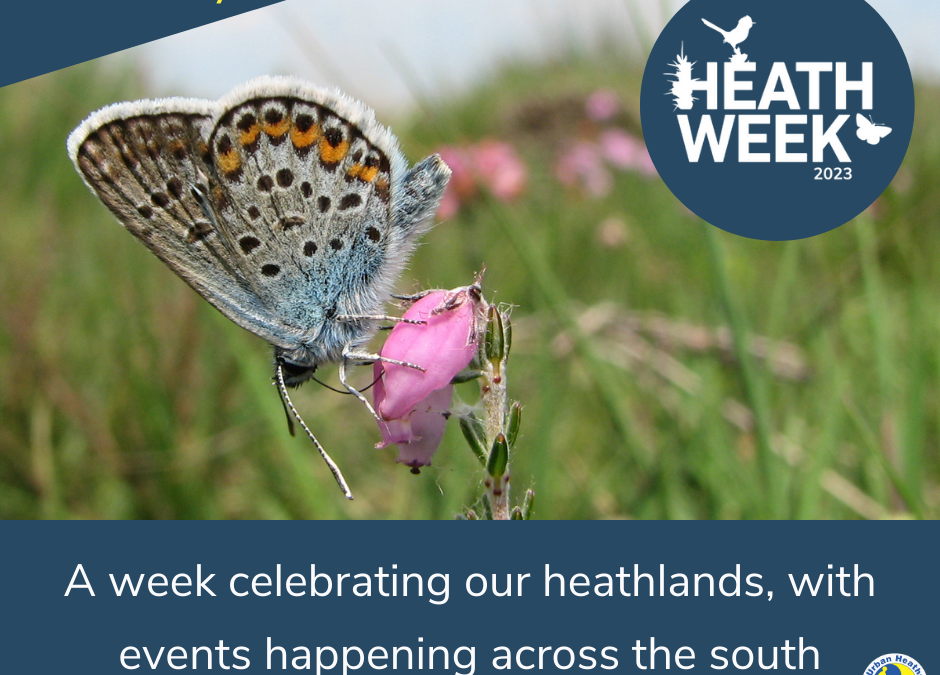 Heath Week is back!