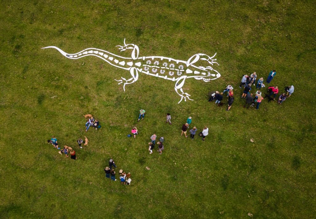The Purbeck Sand Lizard by artist Eilidh Middleton