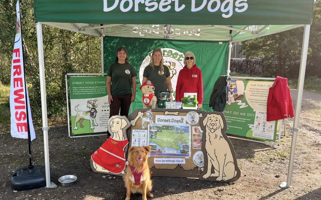 Waggy tails at Wareham Forest!
